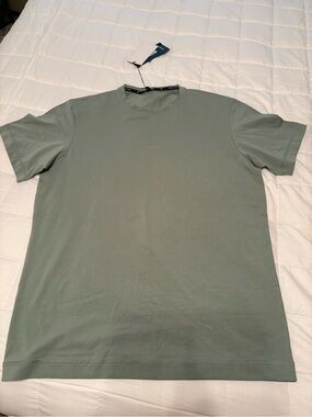 Men's Crew Neck T-Shirt in Sage Green